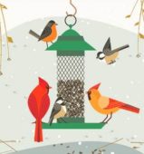 Birds feeder winter